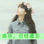 鲸鱼安慰了大海,唯美女生可爱带字头像图片