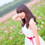 薰衣草童话美,QQ头像女生唯美风景小清新图片