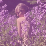 清新紫色系女头图片,薰衣草的夏天