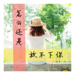 晚风诉情衷,qq女头带字唯美图片