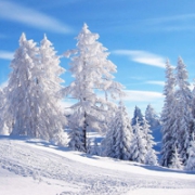 唯美意境雪景头像图片大全,雪景如仙境