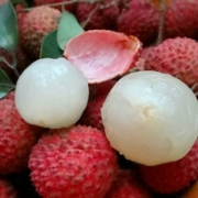 好吃可口美食头像图片