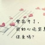 唯美文字头像图片大全