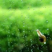 清新下雨雨水头像图片