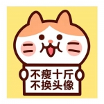 不瘦十斤不换头像,微信减肥励志头像图片