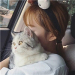 一男一女抱猫带猫情头图片,真心相爱