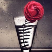 唯美清新杯子的头像图片大全