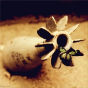 内涵寓意和平的头像图片