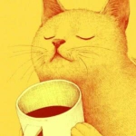 超好看的猫咪头像,高清适合微信头像的猫咪图片