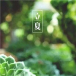 唯美节气立夏头像图片大全