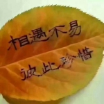  珍惜爱情珍惜缘分的头像图片 相遇不易 相互珍惜