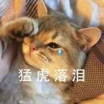 猛虎流泪带字表情头像图片