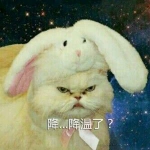 猫咪降温了搞笑头像图片