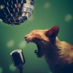 宣泄情绪头像图片大全 高清好看的情绪宣泄头像