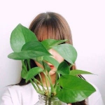 清新绿萝挡脸女生头像图片