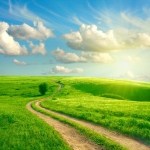 绿草地蓝天白云风景头像图片