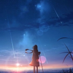 梦幻看流星雨背影头像图片