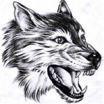 凶猛霸气狼头像图片