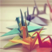 千纸鹤唯美清新头像图片