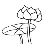 绘画手绘莲花头像图片大全