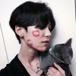怀里抱着一只猫的男头图片