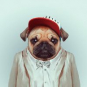 穿衣服人身兽头头像系列图片