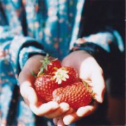 手唯美清新头像图片,很有意境