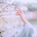 女头唯美手控古风图片,染青丝