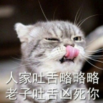 奶凶奶凶的可爱小猫咪头像图片,带字