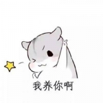 可爱小仓鼠暖心情话头像图片