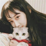 抱猫头像女,高清甜美的女抱一只猫头像图片
