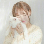 美女抱猫咪头像 高清好看有气质美女和猫咪头像图片
