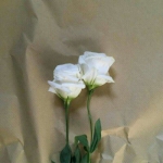 花暗色唯美头像 高清花的头像暗色系图片