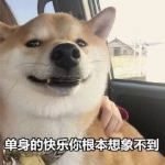 单身狗头像可爱 高清好看的单身搞笑图片带字头像