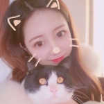 高级女抱猫女头像高清图片