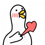 幸运鹅头像图片呆萌高清可爱合集