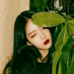 微信女头绿色系高清图片