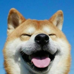 超萌的搞笑狗狗头像图片