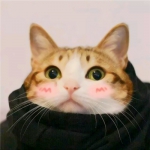 可爱搞怪的猫狗情头一对两张图片