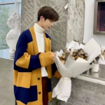 青少年绅士头像男生高清图片