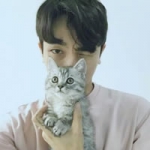 帅气小哥哥抱猫头像