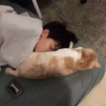 2023好看高清的抖音网红情头一男一女图片