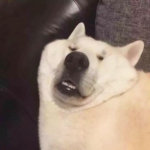 搞怪情头奇葩两张好看高清的图片