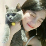 带猫的女头图片好看高清