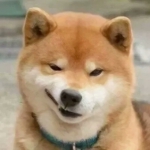 搞笑的情头动物一左一右图片