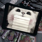 微信高清个性的微信背景墙头像图片