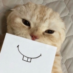 被萌到了的可爱小猫咪头像图片