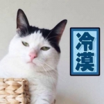 搞怪高清一对两张可爱猫咪情头图片