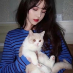 QQ头像女生带猫咪好看高清的图片