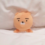 爱睡觉的玩偶可爱头像图片大全